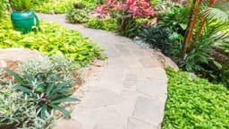 Small Vegetable Garden Design: Smart Ideas to Grow More