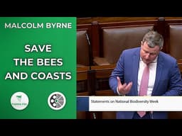 Malcolm Byrne: Protect bees, coasts and nature with AI