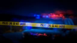 Madison authorities investigate series of dog deaths