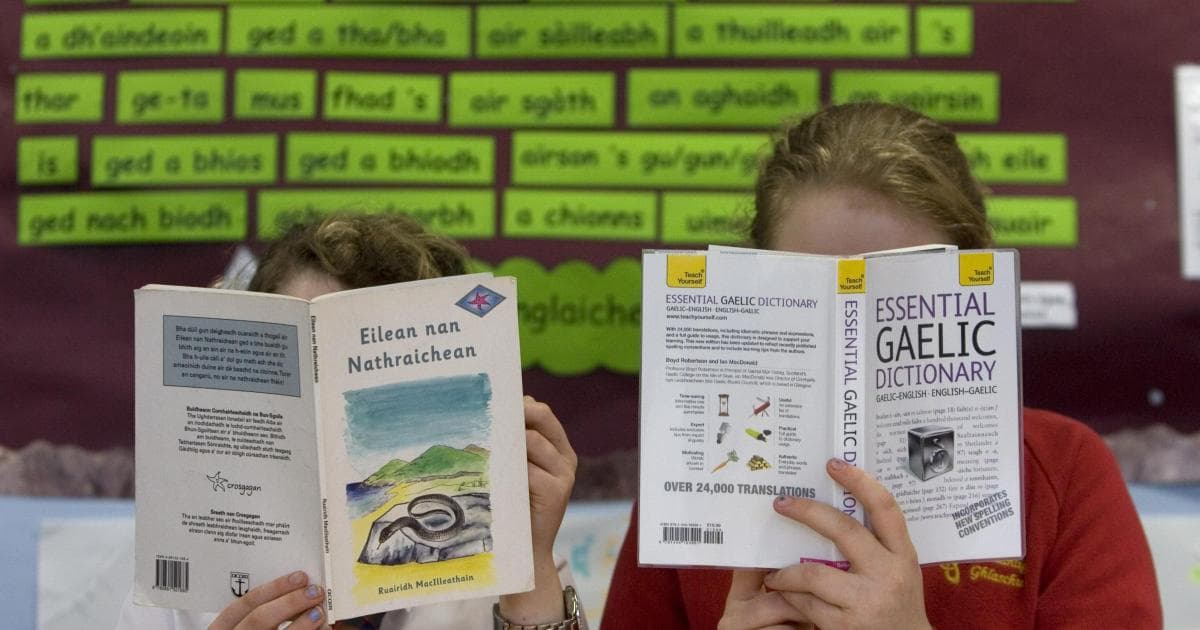 Here are the two things we must do to give Gaelic a chance ...