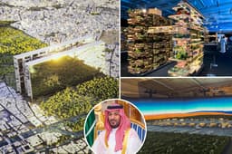 Saudi Arabian Crown Prince’s $12 trillion, desert-city dream in tatters as megaproject halted