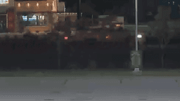 Jacksonville police identify pedestrian killed in hit-and-run ...