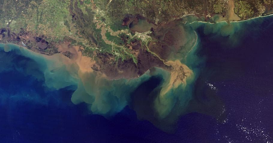 The gulf dead zone should be named the Iowa Dead Zone | Staff columnists, Editorials | thegazette.com