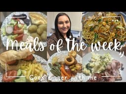 Meals of the Week | What I Cook on Busy Nights