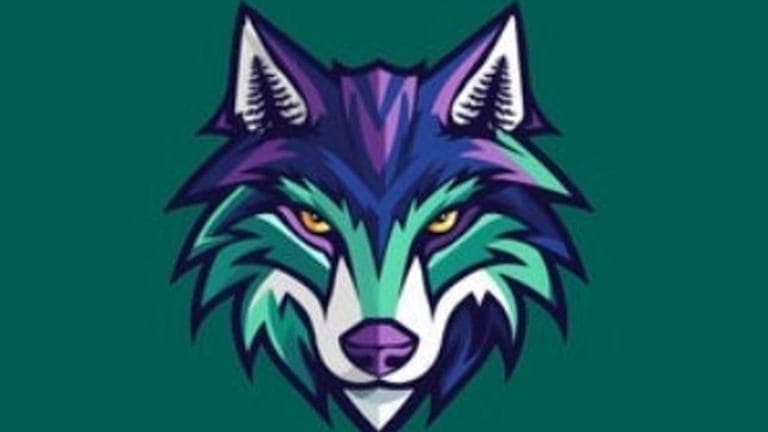 Washington Wolfpack return for third season starting this Sunday in Everett