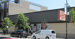 Roscoe Village Chicago | Thrift Store