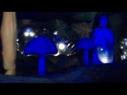 Tiana’s Bayou Adventure POV  | Full Ride | Magic Kingdom