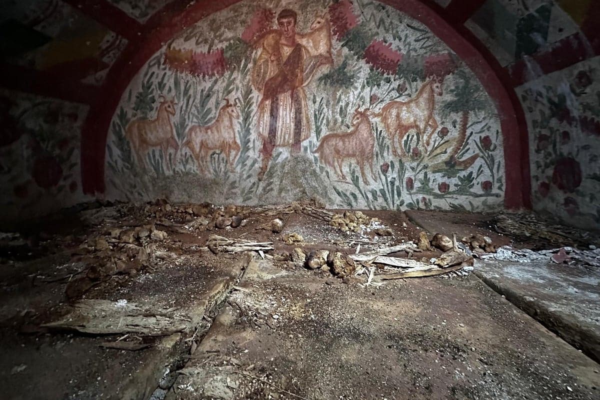 Spectacular archaeological finds in Turkey shed new light on origins of ...