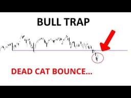 Technical Analysis of Stocks: SPY / QQQ / NVDA / TSLA / AMD / PLTR / AVGO