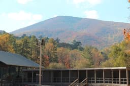 Some of Georgia's best wild, 'roadless' areas are at risk