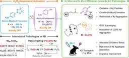 Dementia-causing substance turns into a therapeutic ...