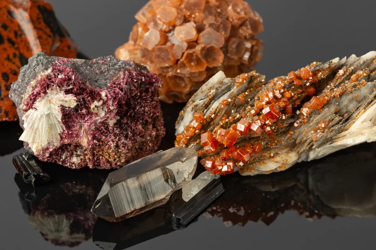 Dr Sanja Miskovic joins American Rare Earths to advance Halleck ...
