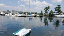 Port Elgin Beach Cleanup Saturday Includes Remote-Operated Water Drone