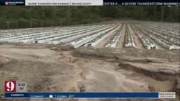 Floodwater heavily damages popular Eustis farm