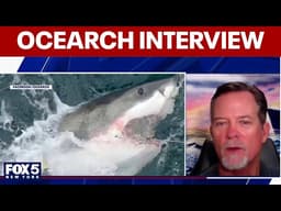 OCEARCH warning: More great white sharks may be heading toward NY, NJ