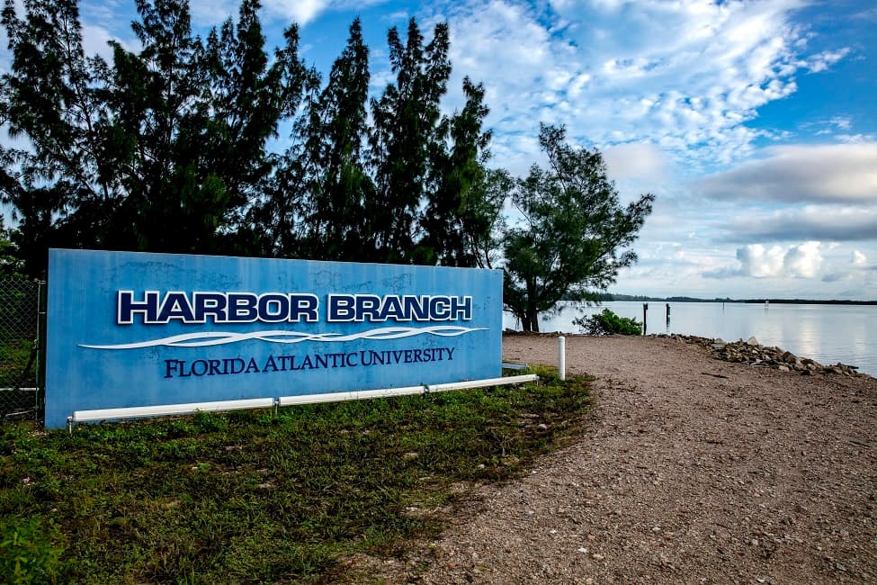 FAU | FAU Awarded $900,000 for Gulf of America Sea-Level Research