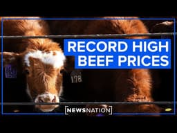DOJ investigating meatpacking industry amid rising prices | NewsNation Live