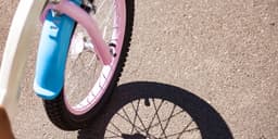 Police track down, arrest man who allegedly tried to abduct girl riding her bike in Brighton Township