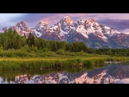 Discover Our Yellowstone & Grand Teton Wildlife Safari • Daily Dose of Nature