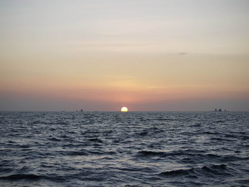 Marine Life Struggles with Increasing Ocean Acidification