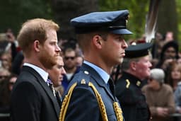 AN Wilson: Harry and William's feud is the monarchy's ...