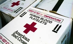 Oregon Blood Shortage Grows as Red Cross Urges Latino Donors Not to Stay Away