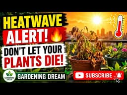 Save Your Garden From Extreme Heat 🌞 7 Easy Tips Every Gardener Needs!