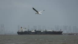 Ship traffic through Strait of Hormuz rebounds amid Iran war tensions | Daily Sabah
