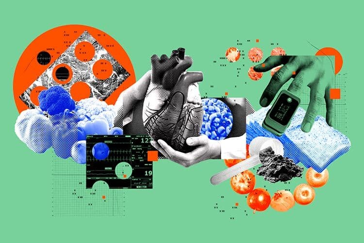 The Habits That Helped Reduce Cardiovascular Risk