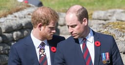 Prince William told to see Prince Harry on forthcoming trip
