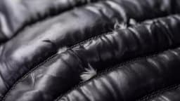 Resilient Moncler stock steadies as luxury demand in ...