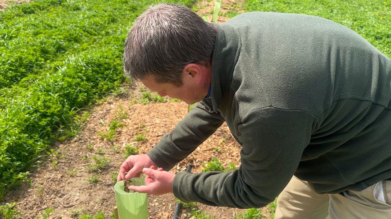 Clean Wisconsin report says farmers are key in reducing carbon emissions
