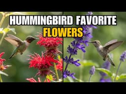 7 Perennials That Bring Hummingbirds to Your Garden