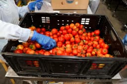 States Challenge Federal SNAP Changes