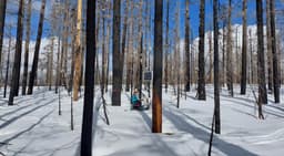 Wildfires accelerate winter snowmelt in Oregon's western Cascades, PSU study finds | Portland State University