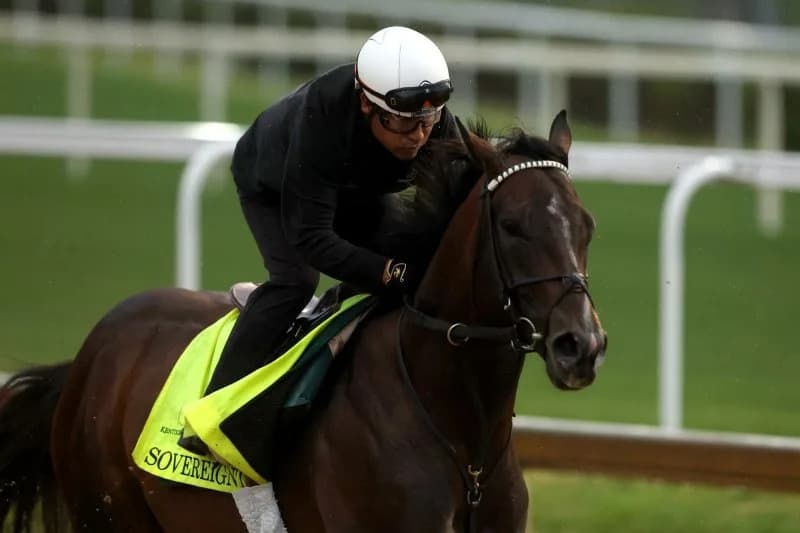 Big-time showdown looms among older horses in Saratoga's ...