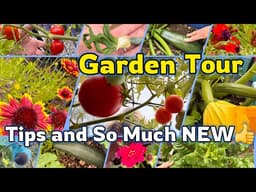 Garden Tour TIPS *NEW THINGS🍅 Growing Tomatoes & Vegetable Garden Herbs Methods Container Gardening