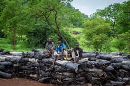The violent stability of the war economy on the Darfur–South Sudan ...