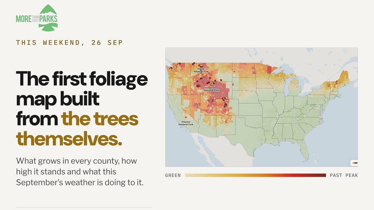 We Built the Ultimate Fall Color Tracker. Here’s When Every National Park, Forest, and County in America Peaks.
