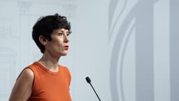La poco conocida ayuda de 115 euros que el Gobierno ...