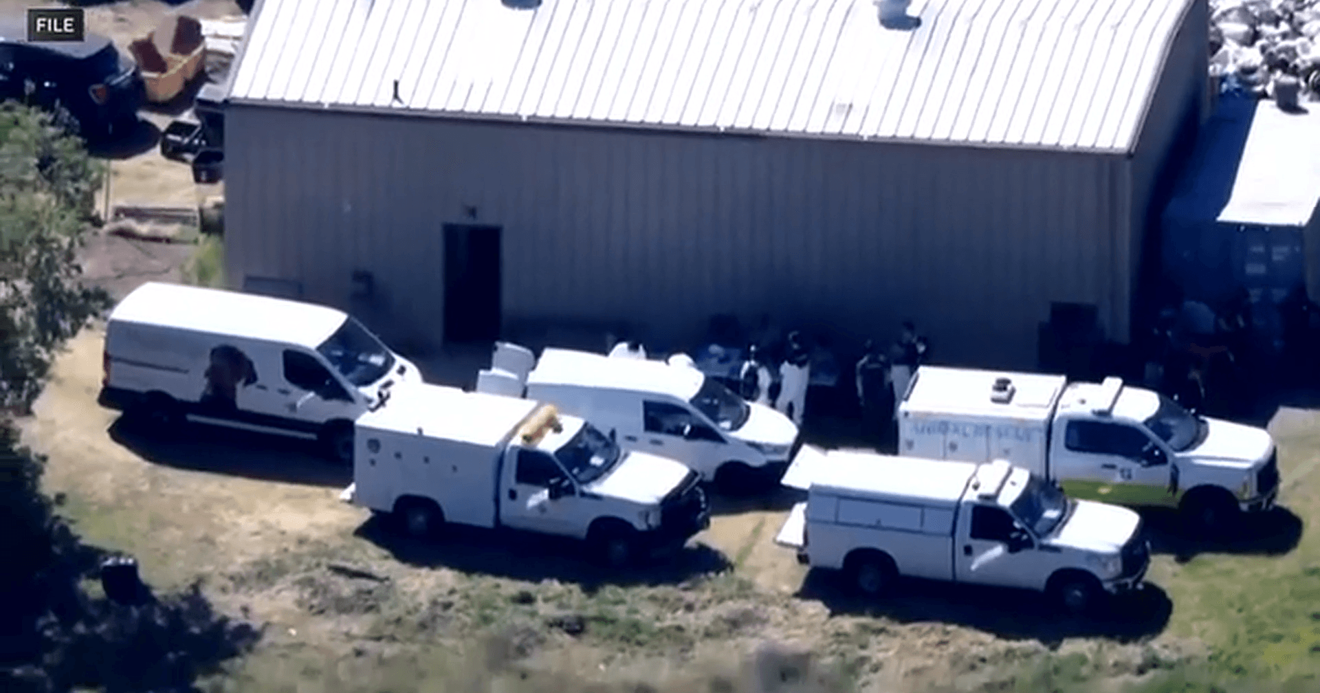Woman running animal rescue faces 35 animal cruelty and code ...