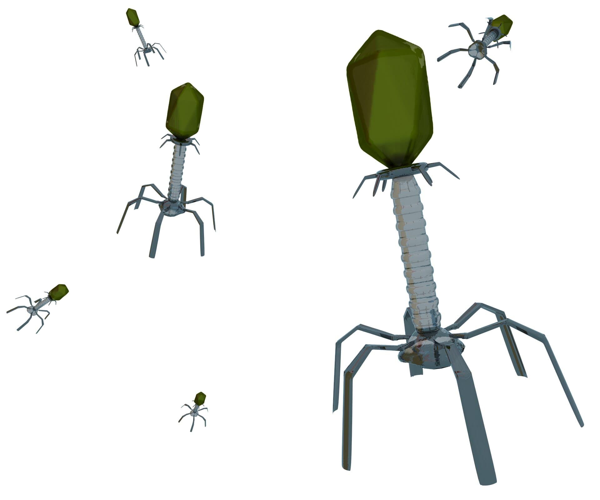 Scientists have designed a functioning virus from scratch ...