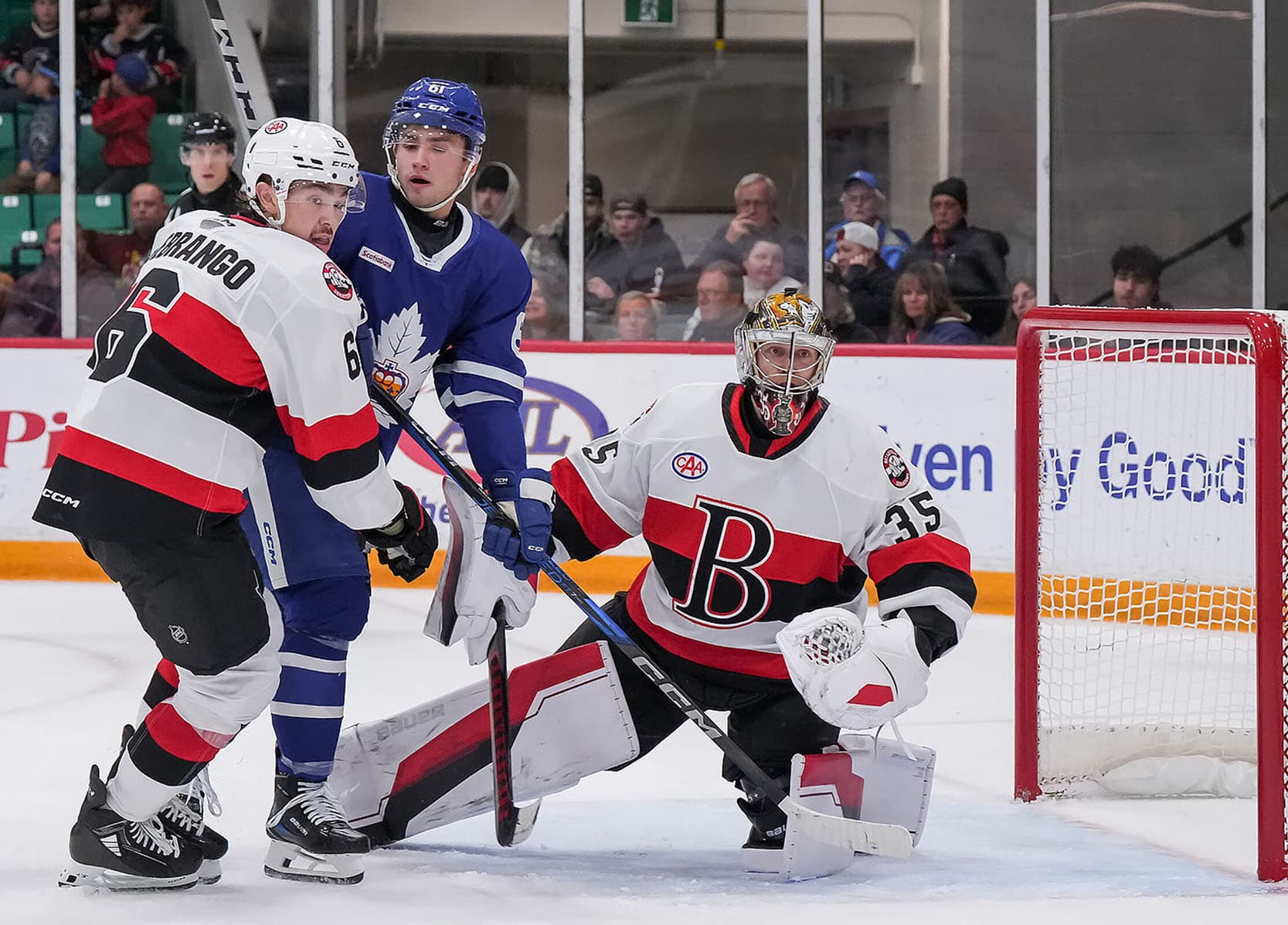 Belleville Senators unveil 10th anniversary season theme and ...
