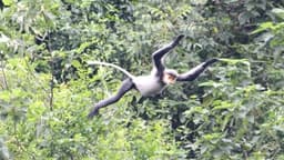 Da Nang moves forward to OECM recoginition in biodiversity