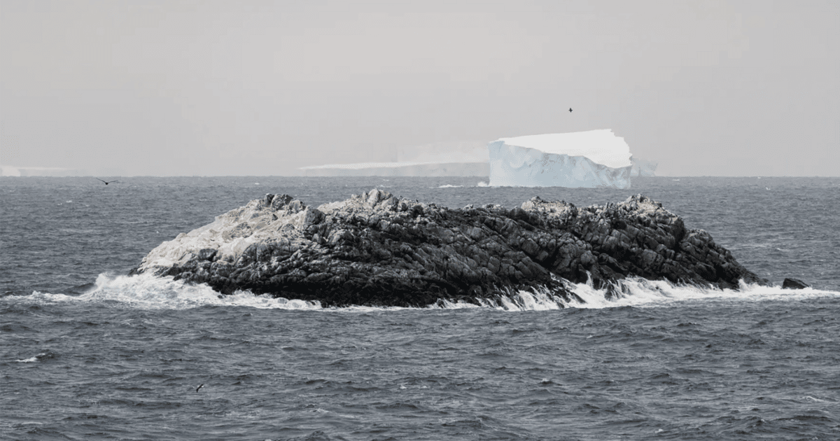 Researchers discover unmapped island purely by accident