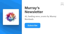 The Executive AI Leverage Report - Murray's Newsletter