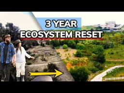They Said This Land Was Dead. It Wasn't. (3-Year Ecosystem Reset)