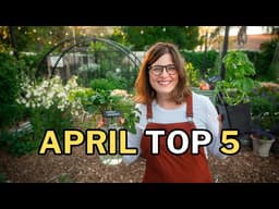 CROPS & TASKS: What to PLANT & DO in APRIL Gardens