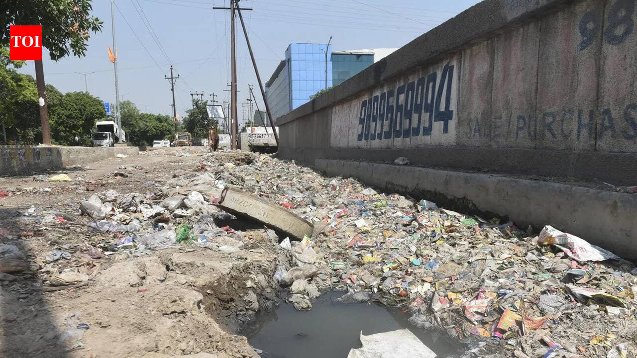Noida’s industry hub has a yearlong problem: Not protests, it’s filth | Noida News - The Times of India