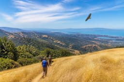 San Francisco day-trippers: Russian Ridge preserve an hour ...